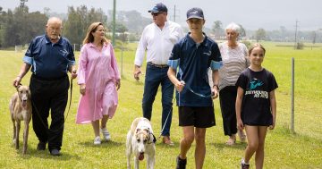 Community asked for feedback on $11 million Dapto greyhound racing centre