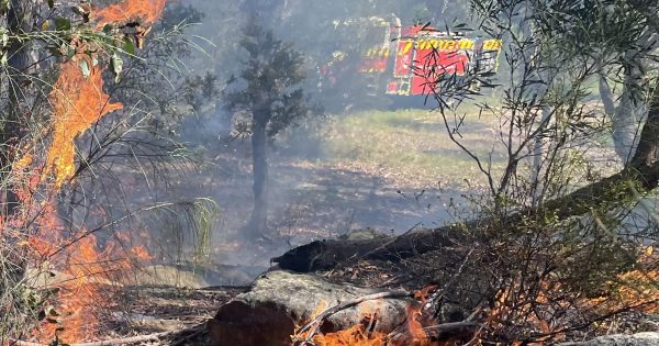 'The difference between life and death': firefighters prepare for a bad bushfire season, and so should you