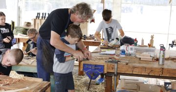 Woodworking festival plans tree-mendous comeback to the Illawarra