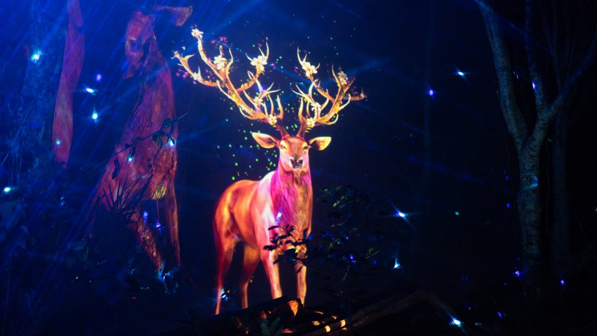 Hologram of a stag at The Enchanted Forest light and sound spectacle at Shellharbour's Blackbutt Forest Reserve