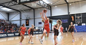 Illawarra Hawks Under 14 girls swoop on basketball history with stunning national triumph