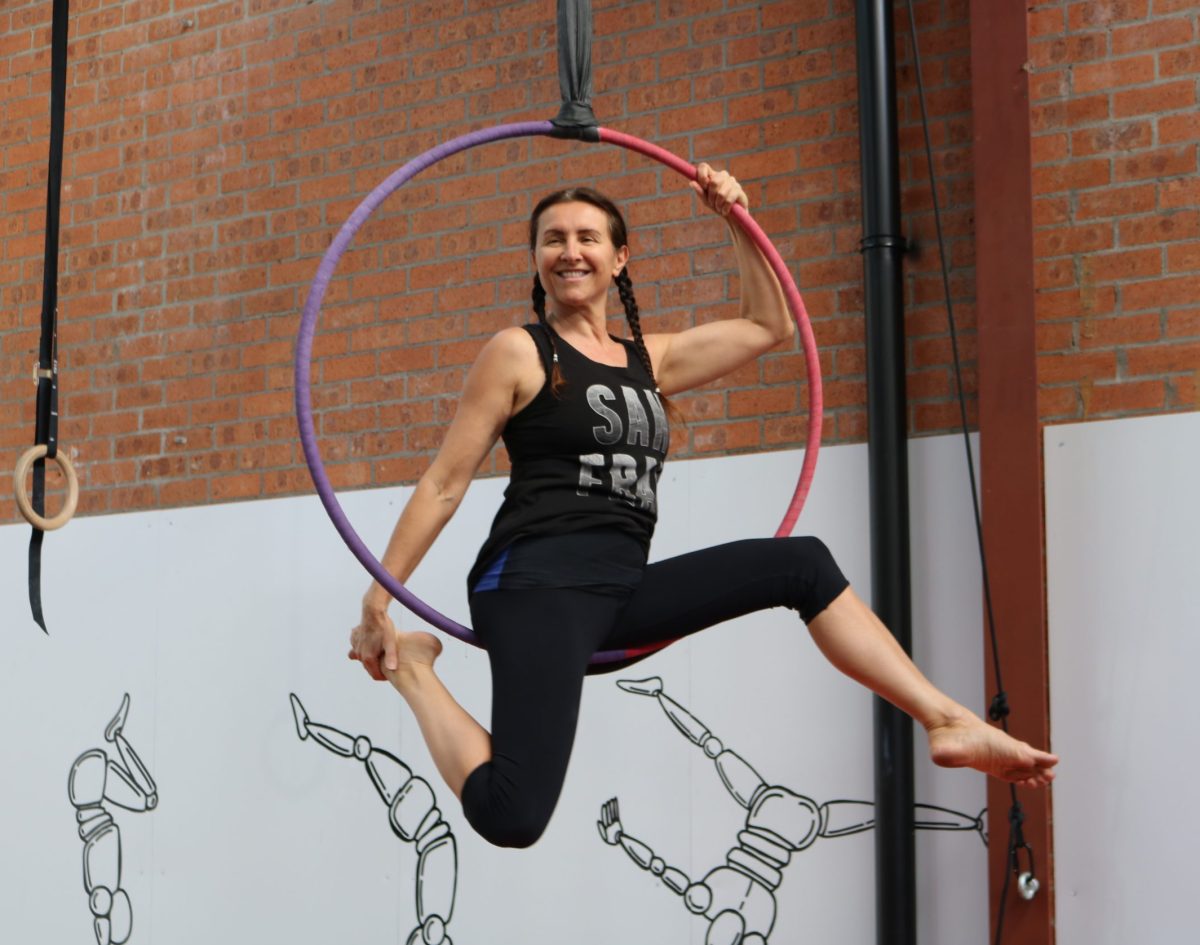 circus performer on the aerial hoop