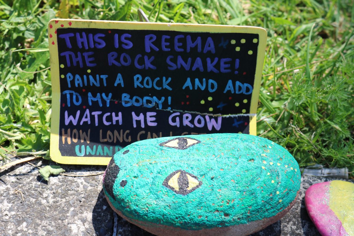 A sign next to Reema the rock snake, encouraging people to add to it and watch it grow.