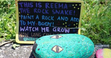 There's a snake on the loose in Cordeaux Heights and it's getting bigger every day - meet Reema