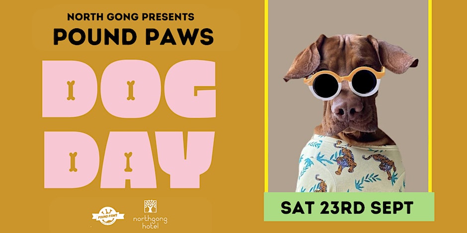 Flyer for Pound Paws Dog day featuring a pooch wearing sunglasses and T-shirt