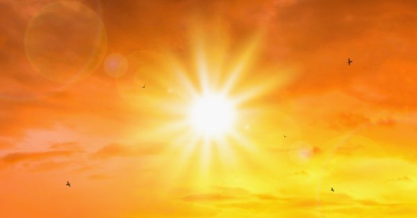 Severe heatwave: Illawarra swelters as dangerous weather causes concern for vulnerable community members