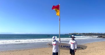 Surviving dangerous swells a hot topic – lifeguards urge community to be surf safe this summer