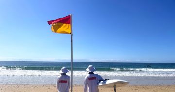 Illawarra beaches and pools have officially opened for the summer
