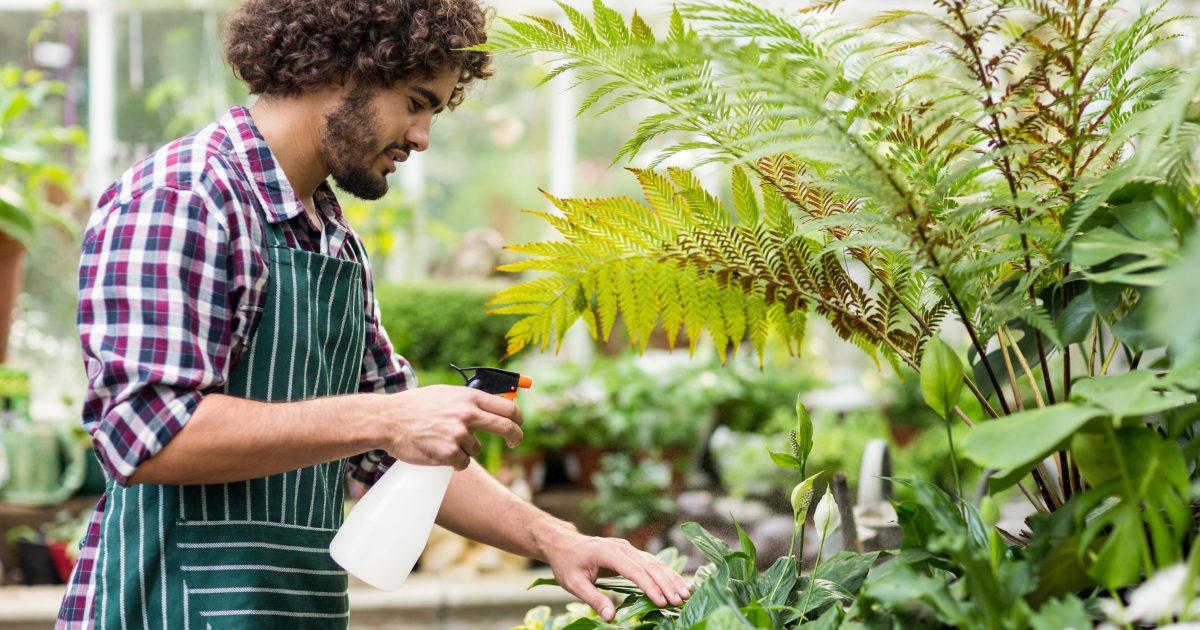 The best gardeners in Wollongong | Region Illawarra