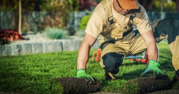 The best landscapers in Wollongong