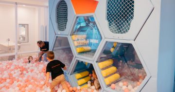 Chouchou Bebe: Warrawong's new pastel playland just one of three planned for the region