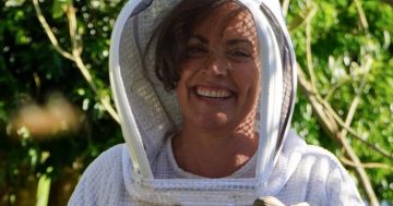 Bee Inspired helping beekeeping industry to blossom in the Illawarra