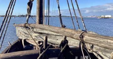 Replica 15th-century caravel Notorious to sail into Shell Cove for pirate-like experience