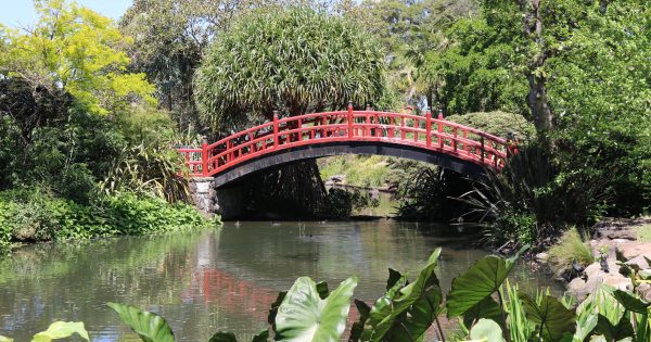 Check out the vision for a revitalised Wollongong Botanic Garden