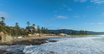 Illawarra's beaches earn tick for healthy water quality