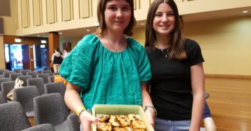 Nowra student wins Wollongong's Young Innovator of the Year with tasty allergy-free cookie range
