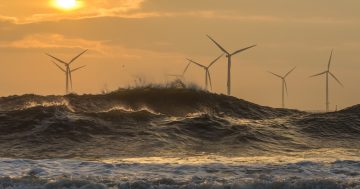 Why the Illawarra needs to embrace wind energy as the climate crisis worsens