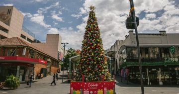 Councils ask residents to help spread some Christmas joy to struggling families