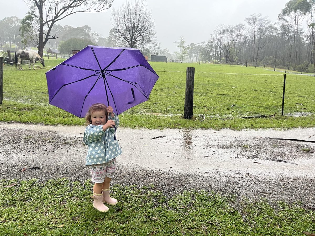 A toddler with a purple umbrella and gumboots stands next to a big puddle in the grass.