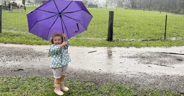 CSIRO gives us the lowdown on what's driving wet weather this El Niño