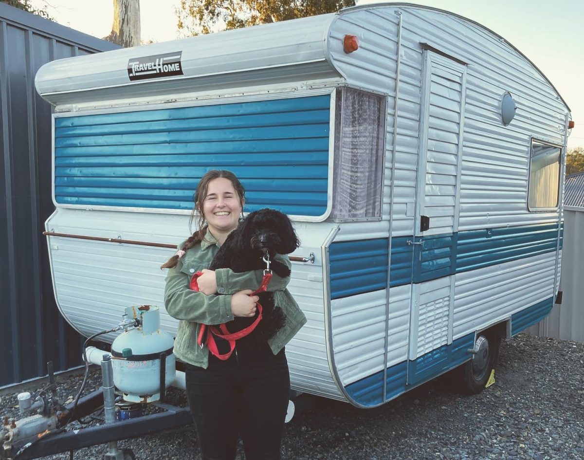 woman with dog and van