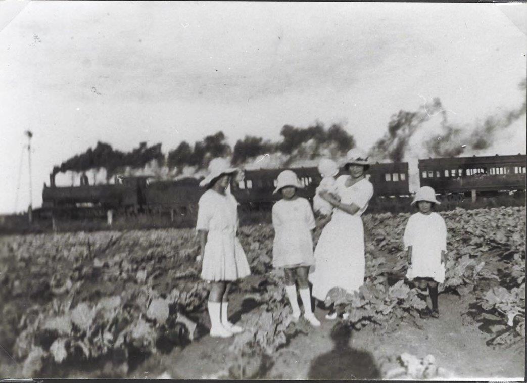 When the Dions first arrived in Wollongong they ran a market garden on the site where the Fraternity Club in Fairy Meadow now sits. 