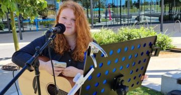 Shellharbour's Live on the Lawn returns to showcase region's up-and-coming music talent