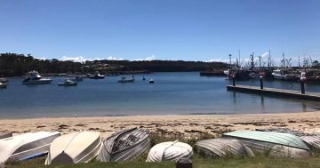 Woman's body found floating in Ulladulla Harbour