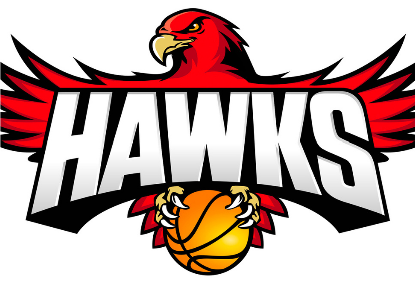 Logo Illawarra Hawks