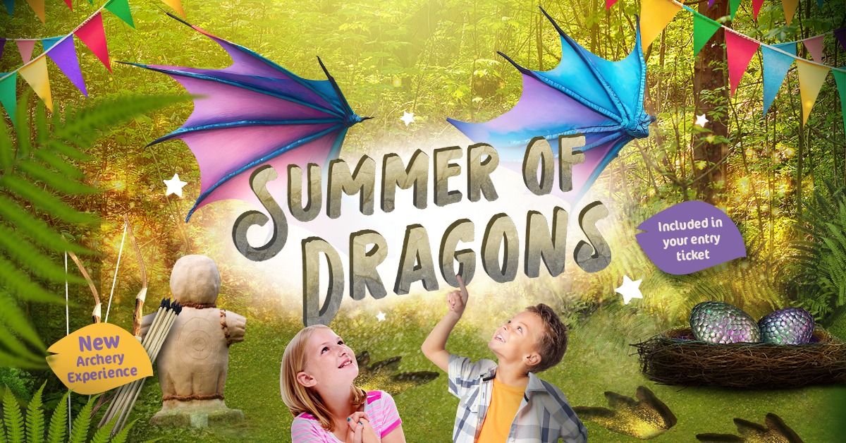 Poster of children with words summer of dragons and dragon wings