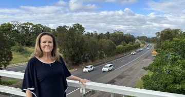 Community urged to have a say on long-awaited M1 ramps proposed for Dapto