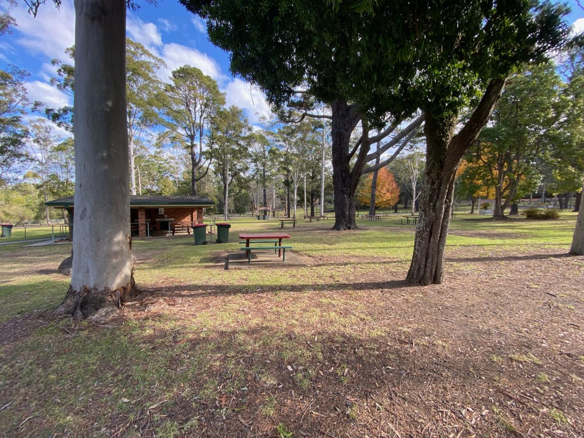 picnic area