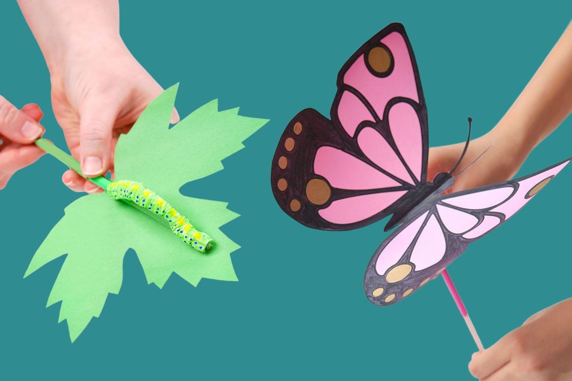 Paper butterfly and caterpillar