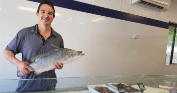 Seafood still to be centre of Illawarra Christmas lunches despite lifestyle and weather challenges