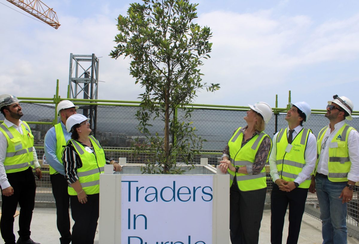 Government, council, community organisations and development leaders with tree. 