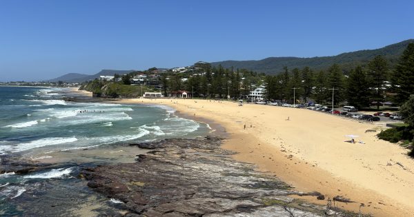 Property growth slows, and goes backwards in one Illawarra suburb