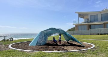 These tall tails tell a story of Shellharbour