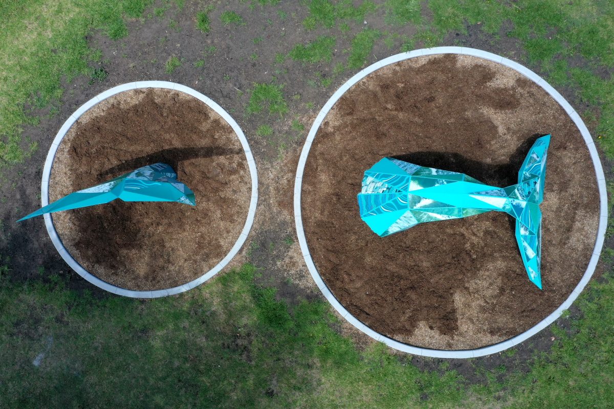 Aerial picture of whale tail sculpture Long Distance at the Lake Illawarra Art Trail