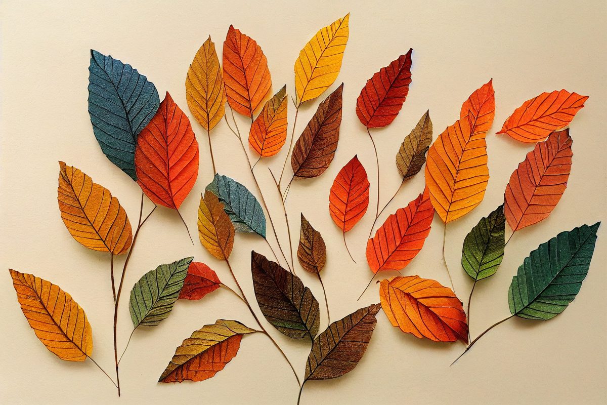 Arrangement of colourful leaves