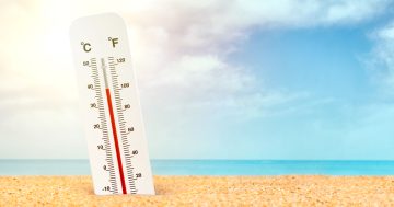 Heatwaves hit and local government says it's prepared, but are you?