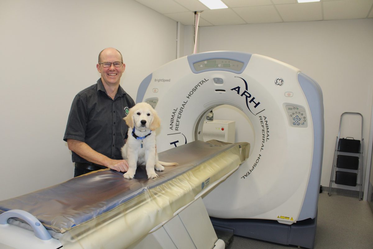 Dr Luke Michel with new pet CT machine at Fairy Meadow. 