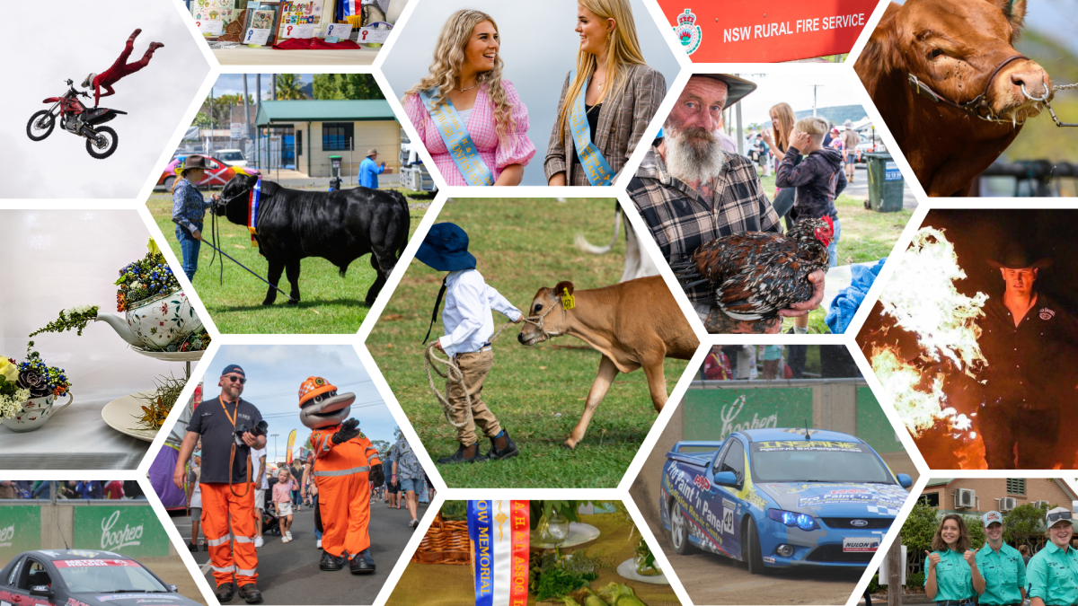 Montage of pictures from Albion Park Show with cattle, fire stunts, cars and more