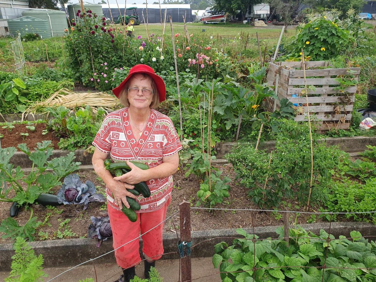 Merete Donnelly, with a fabulous haul of cucumbers at the Dapto Community Farm. 