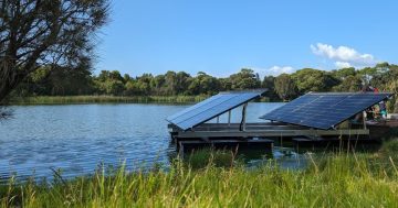 Solar power deployed to battle toxic invader in Coomaditchie Lagoon