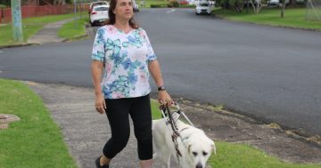 Guide dog owner in fear after multiple attacks by pets in a matter of months