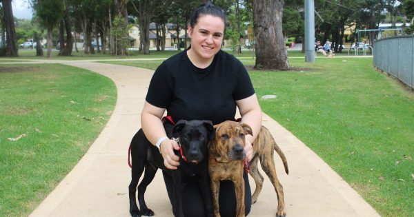 Illawarra pet rescue group in desperate need of donations to continue saving dogs' lives