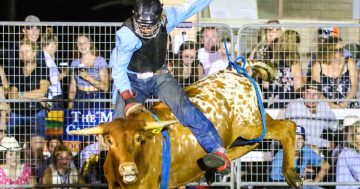 Hang onto your hats 'cause the iconic Milton Rodeo is back in action