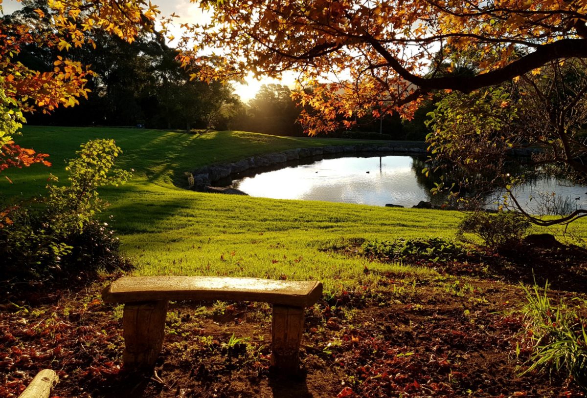 The Drawing Rooms of Berry dam in autumn