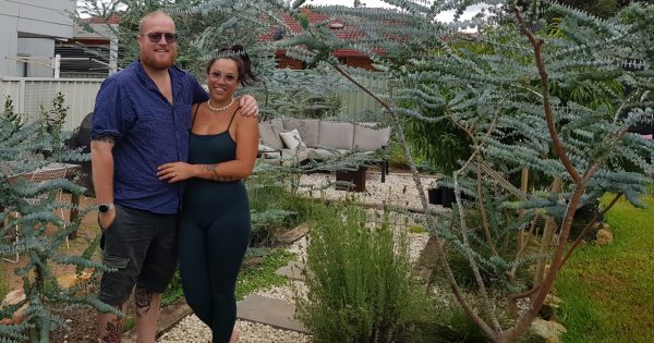 Albion Park couple's backyard eucalyptus venture blooms into thriving business