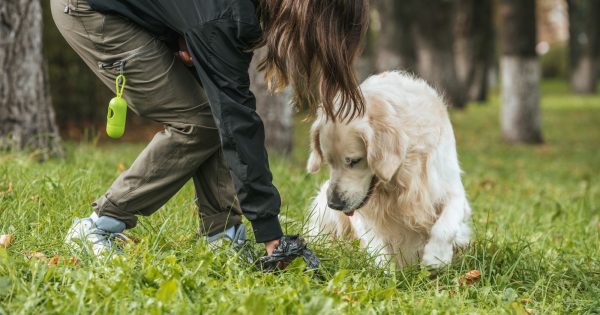 Doggy doo dumpers create a stink for Wombarra residents